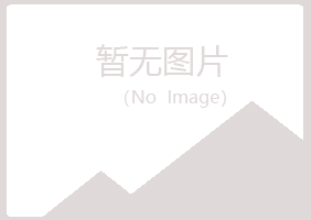 鹤壁鹤山谷波会计有限公司